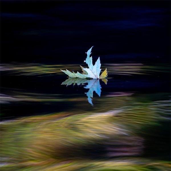 A leaf floats on water as colorful trees are reflected in the river.